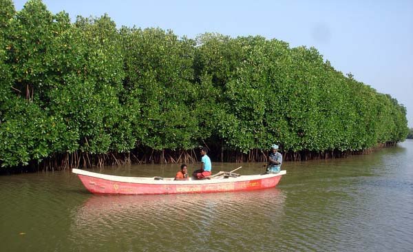 chennai to pichavaram tour package