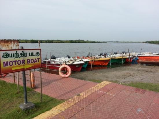 one day chennai to pichavaram tour packages